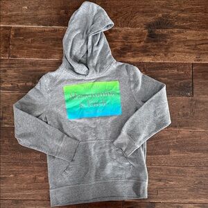 Abercrombie & Fitch Gray Hoodie with Vibrant Logo